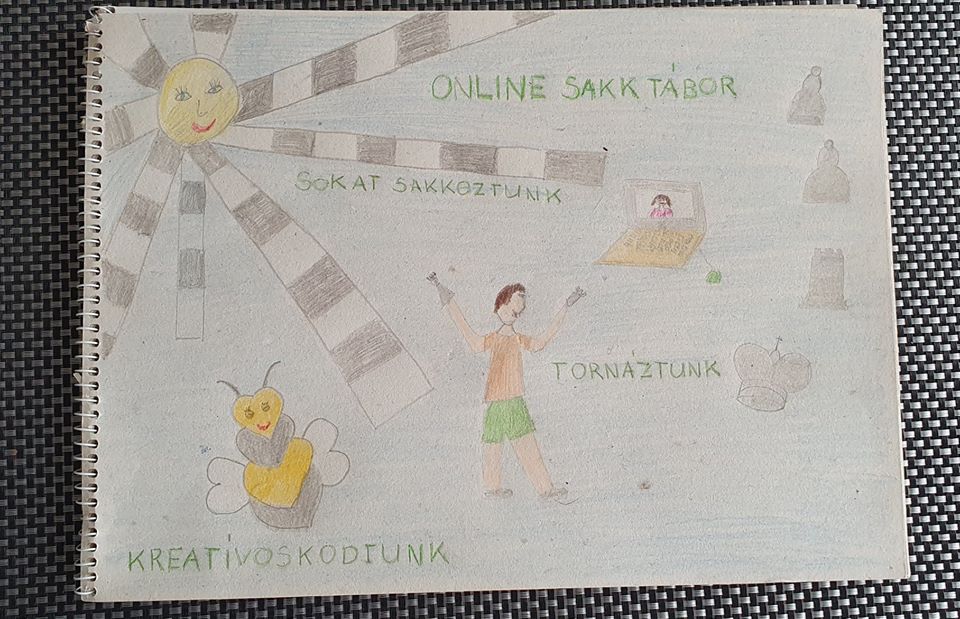 104820399_3962754413795049_5938225878164578994_o sakkmatyi online sakk gyerekeknek