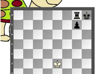 Teknőcverseny – amikor haza jön a sakkverseny